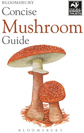 Concise Mushroom Guide (Concise Guides)