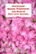 Homemade Beauty Treatments and Natural Skin Care Secrets: Simple Recipes to Use Everyday: Organic Beauty on a Budget (Herbal and Natural Remedies for Healthy Skin Care)