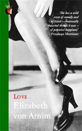 Love: A Virago Modern Classic (Virago Modern Classics)