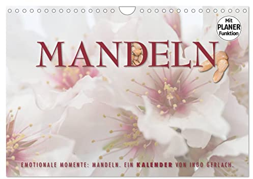 Emotionale Momente: Mandeln (Wandkalender 2026 DIN A4 quer), CALVENDO Monatskalender: Ingo Gerlach hat die Mandelblüte auf Mallorca und die Früchte ... Bäume fotografiert. (CALVENDO Lifestyle)