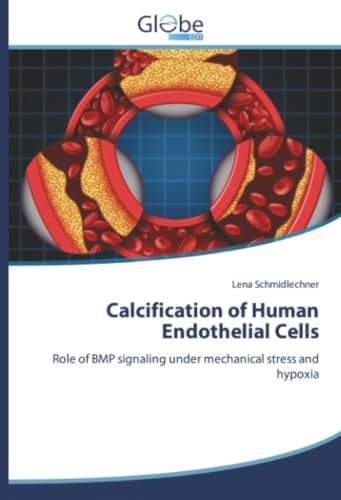 Calcification of Human Endothelial Cells: Role of BMP signaling under mechanical stress and hypoxia