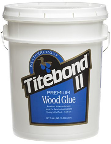 Titebond 5007 Premium Holzleim Flasche, 5 Gal