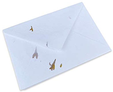 Wanderings Handgefertigte Weiße Umschläge Mit Echten Blütenblättern - 11X16 cm Packung Mit 25 - Für Ankündigungen, Hochzeitseinladungen, Grußkarten, Bastelarbeiten - Dickes 150 gsm