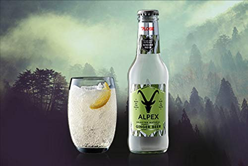 Selected Natural Ginger Beer 200 ml x 6 - Plose