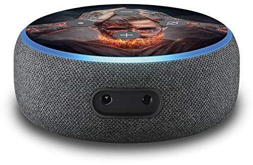 2er Set Folie Cover für intelligenten Smart Speaker Lautsprecher Aufkleber Schutzfolie Skin selbstklebend passgenau Klebefolie für Sprachassistent R137 (Nr. 11 Fire Beard)