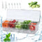 Buffet Trays With Lids, Safe Serving Dishes with 5 Removable Compartments on Ice, Clear Pizza Topping Station Serving Platters for Parties with Handle for Fruit, Snack, Sauce, Salad