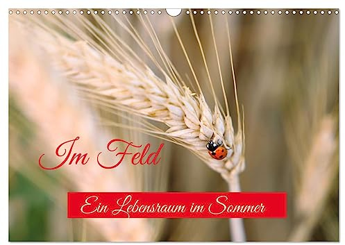 Im Feld (Wandkalender 2026 DIN A3 quer), CALVENDO Monatskalender: Das Feld im Sommer ist ein Lebensraum für viele Tiere und Pflanzen. (CALVENDO Natur)