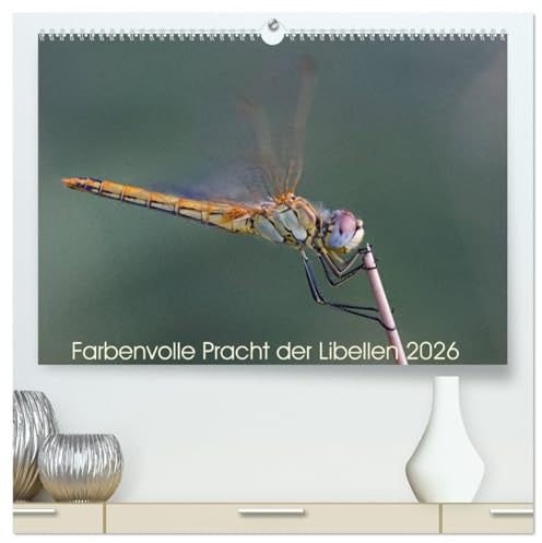 Farbenvolle Pracht der Libellen (hochwertiger Premium Wandkalender 2026 DIN A2 quer), Kunstdruck in Hochglanz: Die wunderschöne Welt der Libellen. (CALVENDO Tiere)