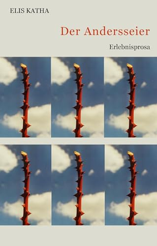Der Andersseier: Erlebnisprosa