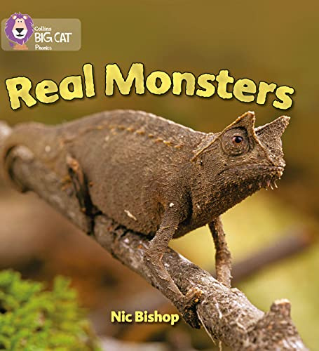 Real Monsters: Yellow / Band 3 (Collins Big Cat Phonics)