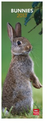Bunnies 2013: Hasen (Slimline-Kalender)