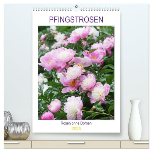 Pfingstrosen Rosen ohne Dornen (hochwertiger Premium Wandkalender 2025 DIN A2 hoch), Kunstdruck in Hochglanz