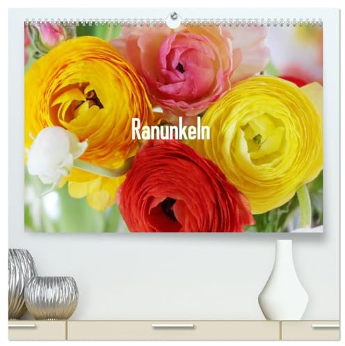Ranunkeln (hochwertiger Premium Wandkalender 2026 DIN A2 quer), Kunstdruck in Hochglanz: Fantastische, bunte Ranunkel-Porträts (CALVENDO Natur)