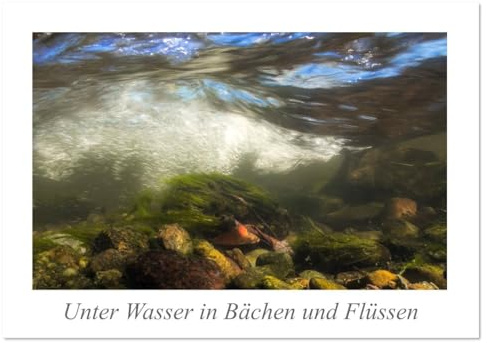 Unter Wasser in Bächen und Flüssen (Tischkalender 2026 DIN A5 quer), CALVENDO Monatskalender: Erleben Sie in 13 außergewöhnlichen Perspektiven die ... heimischer Bäche und Flüsse. (CALVENDO Natur)