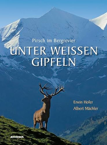 Unter weißen Gipfeln: Pirsch im Bergrevier