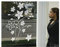 Apalis Fensterfolie Fenstertattoo Deko Blumenpracht Glasbild Frühling Frosted 84 x 60cm