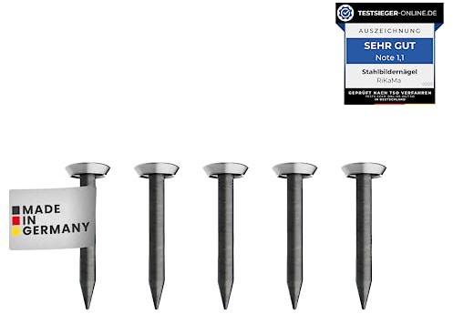 RIKAMA® – 100 Bildernägel – Stahlnägel für den Einsatz auf Beton, Ziegelstein, Putz & Holz – Nägel aus gehärtetem Stahl als Bilder Aufhängung – Made in Europe (Silber mit Halter, 20 mm)