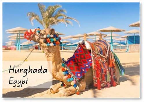 Kühlschrankmagnet, Kamel ruht im Schatten am Strand von Hurghada, Ägypten