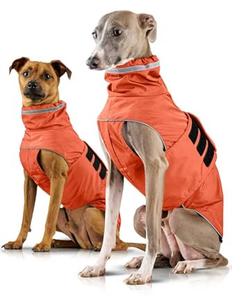 ZAUBERPFOTE® Hunderegenmantel London I Mit extra langem YKK® Reißverschluss für Halsband & Geschirr I Für kleine, mittlere & große Hunde I Wasserdicht & Maschinenwaschbar I Regenmantel für Hunde (50)