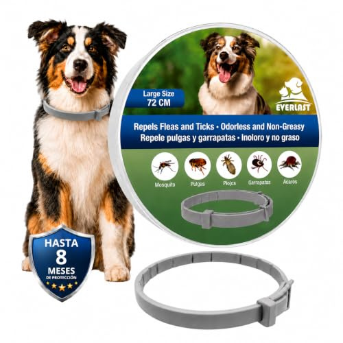 Tempotech ® Collier antiparasitaire Chien - 8 Mois de Protection - Contre Les puces, tiques, moustiques, acariens et poux - Collier Vermifuge (2, Gris, 72CM)