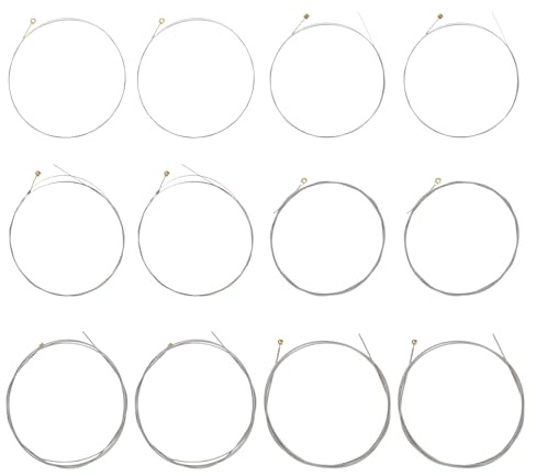 SG Store 2 Set 2220 Nickel-umwickelte E-Gitarrensaiten Sechseckiger Stahlkerndraht Ersatz für die Meisten E-Gitarren Silber (11-48 Gauge)