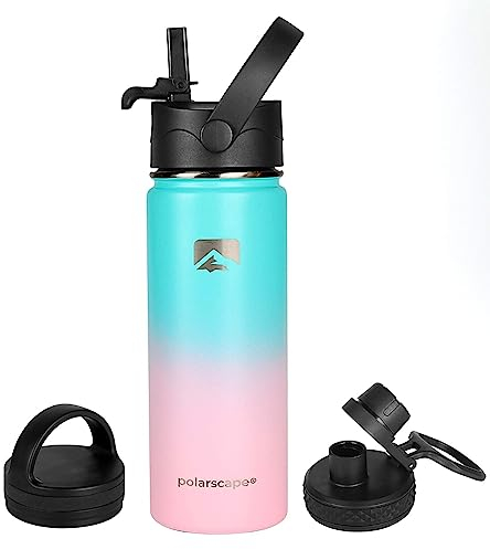 Polarscape Stainless Steel 500ml Insulated Water Bottle with Straw - Metal Water Bottle, Includes 3 Lids, 2 Straws, Straw Brush - Wide Mouth, Double-Walled, BPA Free, Leak Proof - 500ml Bubble Bliss