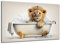 DARO Design - Toiletten-Bild auf 6mm HDF 84x56 cm Baby-Löwe in der Badewanne - Wand-Deko Bilder Lustiges Geschenk