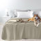 Byour3 – Tagesdecke SUPER wasserdichte Bettschutz Fleckenbeständig für Doppelbett Einzelbett Anti-Schimmel Anti-Tierhaar Katzen Hunde Haustiere Kinder Waschbare Decke (Ingwer, Einzelbett)