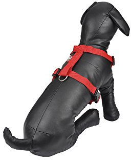 AMI CONFORT Freund Komfort 6 ani197ro Geschirr verstellbar für Hunde 25 – 35 cm x 0,1 cm