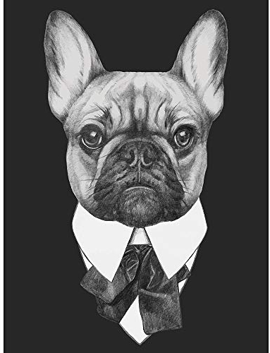 Wee Blue Coo Fliege Französische Bulldogge Ungerahmter Druck 30x40 cm
