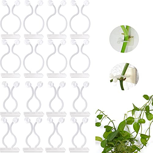 100 Stück Pflanzenklammern Pflanzenclips Wand,Wandhalterung Pflanzring Plant Climbing Wall Clips Rankhilfe Zimmerpflanzen Zubehör Befestigungsklammern