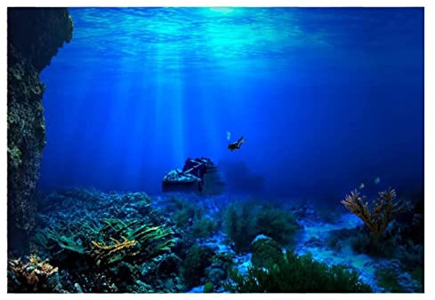 NA The Underwater World Fish Tank Background Decoration Poster Fish Tank Background Sticker Aquarium Poster for Fish Tank 61 * 30cm