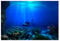 NA The Underwater World Fish Tank Background Decoration Poster Fish Tank Background Sticker Aquarium Poster for Fish Tank 61 * 30cm