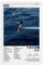 AmAzwi Sza Poster Sos Album Poster Leinwand Poster Schlafzimmer Dekor Sport Landschaft Büro Zimmer Dekor Geschenk Unrahmen: 20 x 30 cm