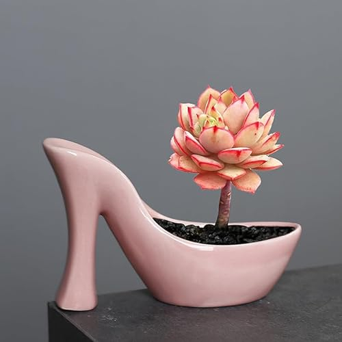 BYVUTE Keramik-Sukkulententöpfe, niedlich, lustig, High Heels, Pflanzgefäß, kreative Pflanztöpfe für Pflanzen, Sukkulenten, Blumen, Kaktus, für drinnen und draußen, Büro, Zuhause, Garten, Küche, Dekor