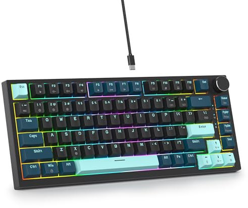 SbocKeeb Custom Gaming Tastatur 75 Prozent Hot-Swap,kabelgebundene Mechanische RGB Tastatur mit Dichtung und Schall absorbierenden Pads Programmierbare Amerikanische QWERTY V400 Knob Monster-B