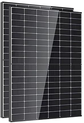 Lot de 2 panneaux solaires 450Wc Monocristallin Bifacial Bi-verre Transparent DMEGC – Haute Performance – Garantie 25 ans