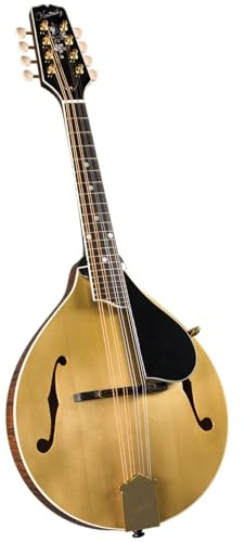 Kentucky KM-508 Artist A-Model Mandolin – Gold Top