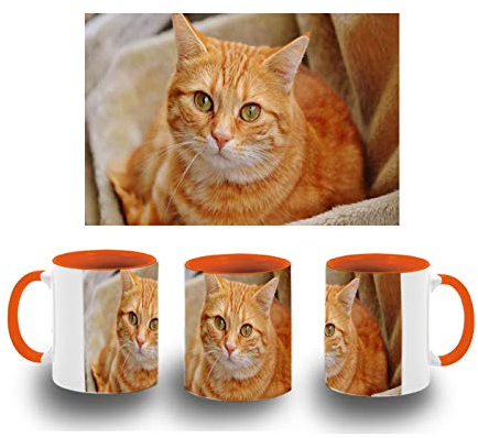 MERCHANDMANIA TAZA NARANJA GATO TABBY NARANJA MUY MONO color mug