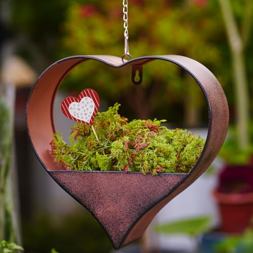 Hanging Heart Flower Planters for Indoor & Outdoor Plants - Stylish and Functional Planters for Wall or Ceiling, Home or Office Decor - Garden Gifts for Women