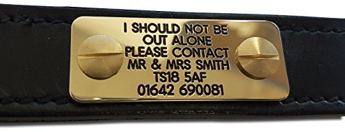 Deeply engraved brass dog ID name plate, Fixes directly to collar. 50mm x 20mm