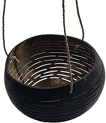 VIE Naturals Noix de Coco Shell Sculpté Design Un Mangeoire Bol, 30 cm Taille