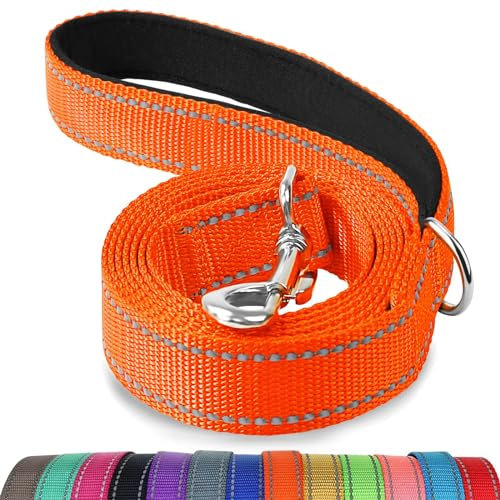Joytale Hundeleine für Große und Mittelgroße Hunde, Doppelseitig Reflektierende Leine Hund aus Nylon mit Gepolstertem Griff, 1,2m x 2,5cm, Orange