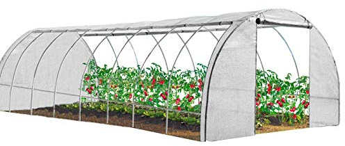 IDMarket – Invernadero túnel de jardín 4 estaciones, 24 m², color blanco, gama de hortalizas de los Andes, 8 x 3 m
