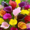 4 pcs zwiebeln calla pflanze winterhart - zimmergewächshaus anzucht flowers bienen wiese Calla Lilien,Zantedeschia aethiopica, geschenke für den garten blumendeko balkonblumen bienenfreund