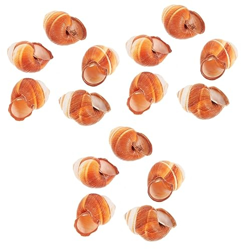 POPETPOP 15 Pièces Coquille D'escargot Français Escargots Naturels Restaurant Coquilles Barbecue Assiette à Escargots Plat Grande Hôtel Cuit Crabe Ermite Océan Coquille D'escargot Naturelle