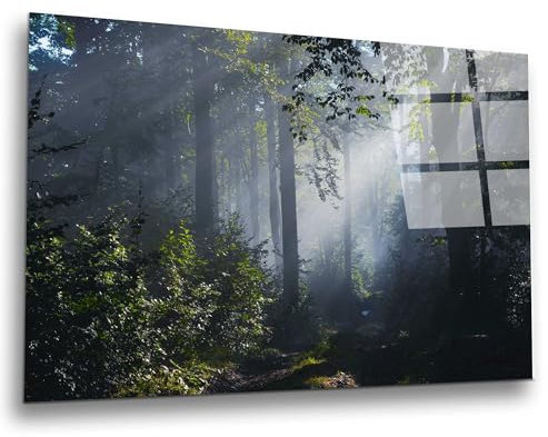 INDIGOS UG Luxus Glasbild - Wald - 60x40 cm - ESG Echtglas bedruckt - Glasdruck - Wohnzimmer, Küche, Schlafzimmer, Badezimmer - Geschenk - Deko, Wandbild