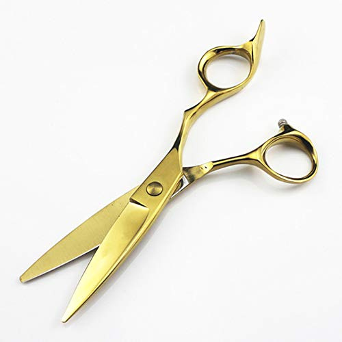 YZCIS Professionelle Haarschneideschere, professionelle 440c-Stahl 6-Zoll-Haarschneideschere Friseursalon Friseurschere (Gold)