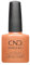 Shellac Daydreaming #465