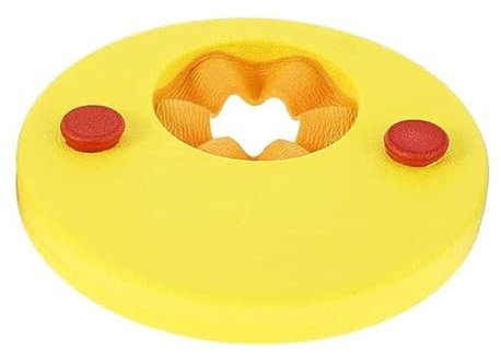 6pcs Armscheiben Eva Schaumscheiben Schwimmhilfsscheiben für (Regenbogenmeteor)